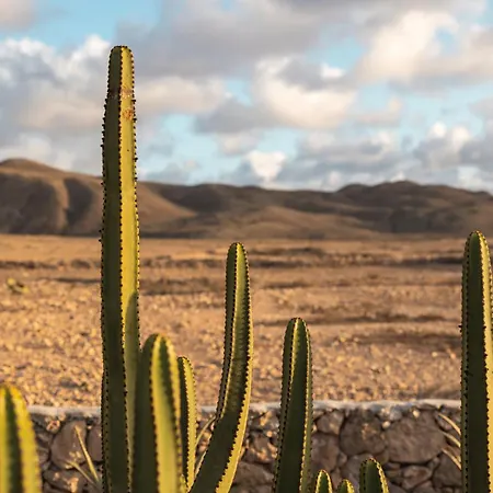 Alma Calma Rural